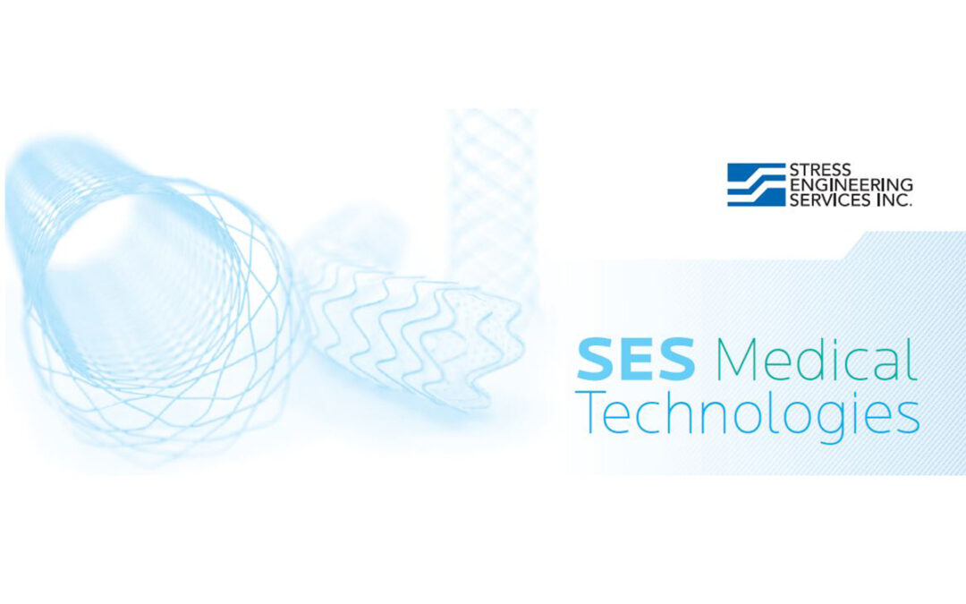 SES Medical Technologies: Risk Management Approach